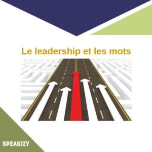 Le-Leadership-par-les-mots-0-300x300 Ebooks